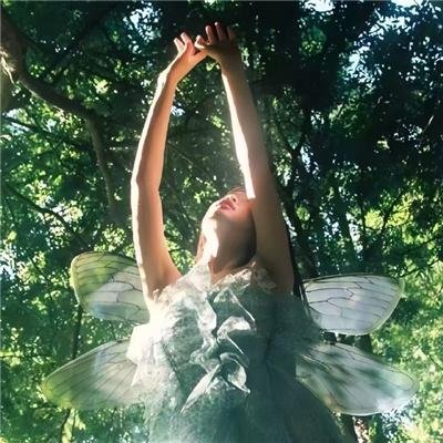 城市猎人天使之泪